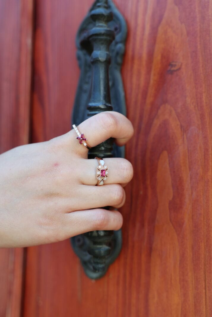 BLOSSOM - Görsel 2